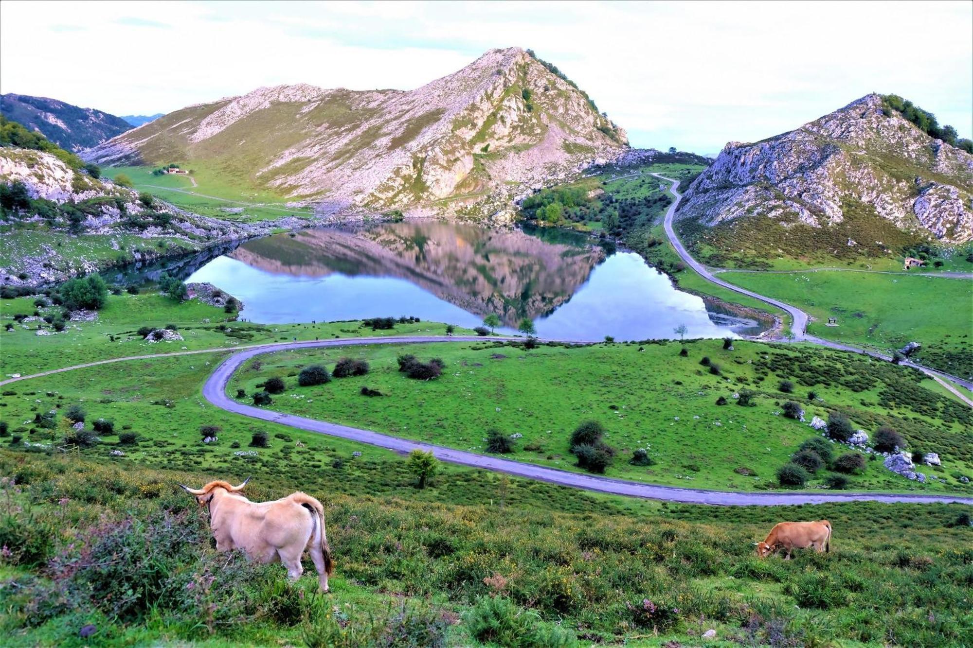 Casa El Balandro De Poo Villa Llanes Dış mekan fotoğraf